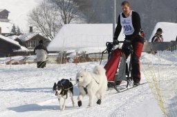 Lenk 2012 SM